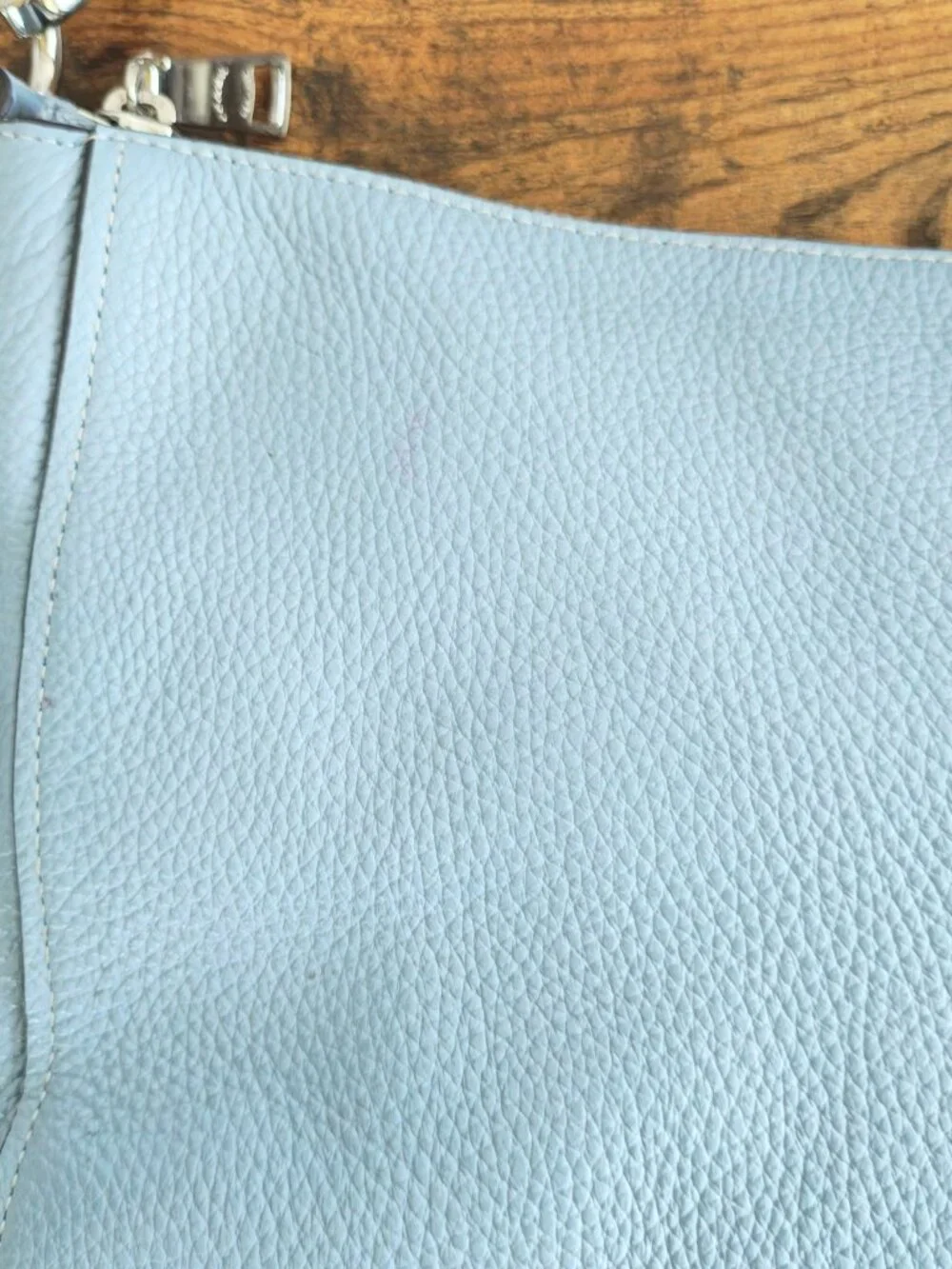 COACH Chelsea Hobo Bag